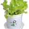 Ceramic Planters - Miniature-001_1