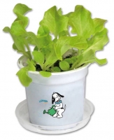 Ceramic Planters - Miniature-001